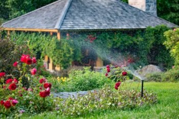 Irrigation residentiel du projet Saint-Nicolas