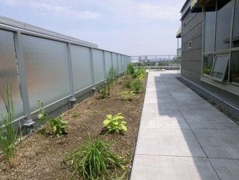 Projet Toit Terrasse
