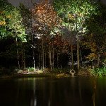 Moonlighting