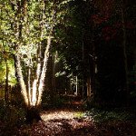 Uplighting